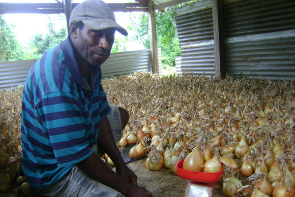 Onion grower